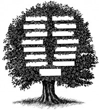 Genealogy - Family Tree