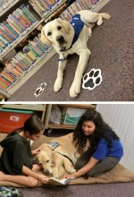 PAWS for Reading, Dogs